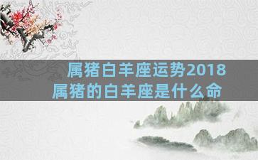 属猪白羊座运势2018 属猪的白羊座是什么命